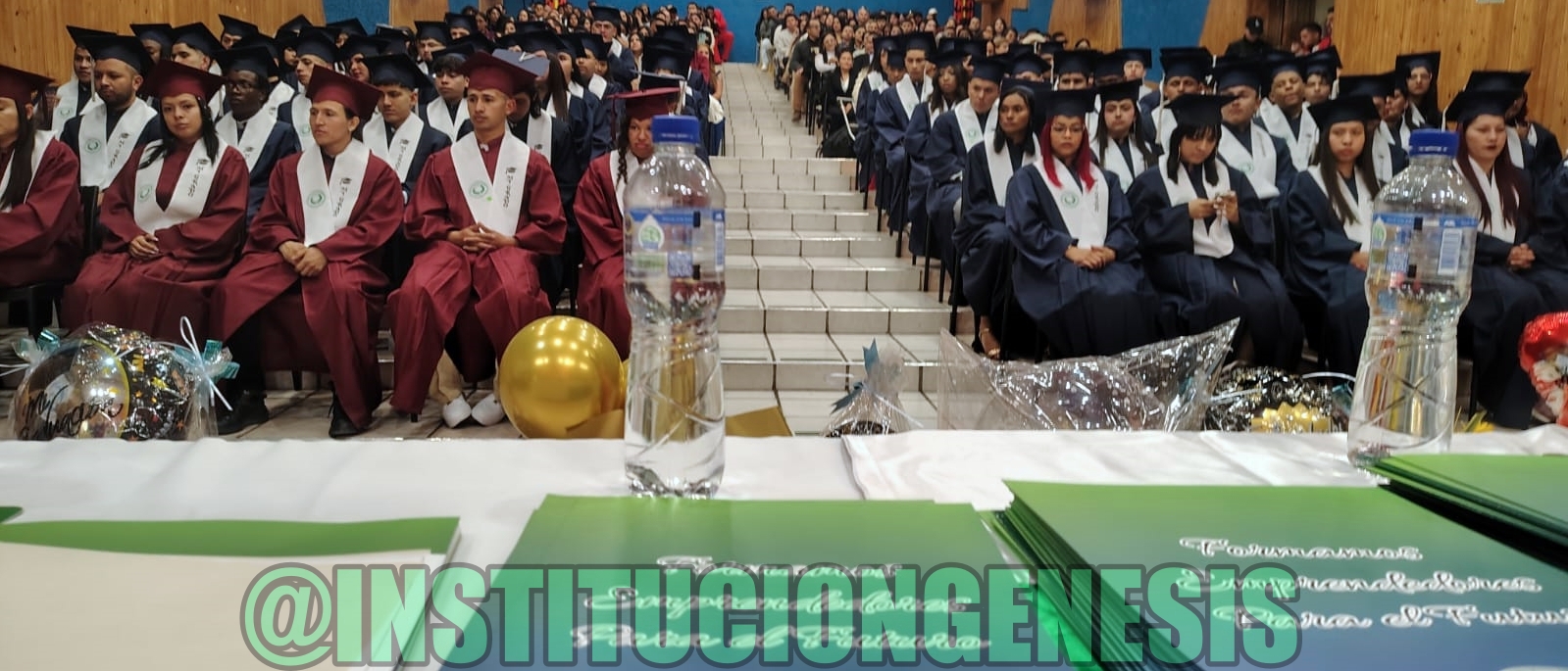 WhatsApp Image 2026-02-05 at 11.01.38 AM